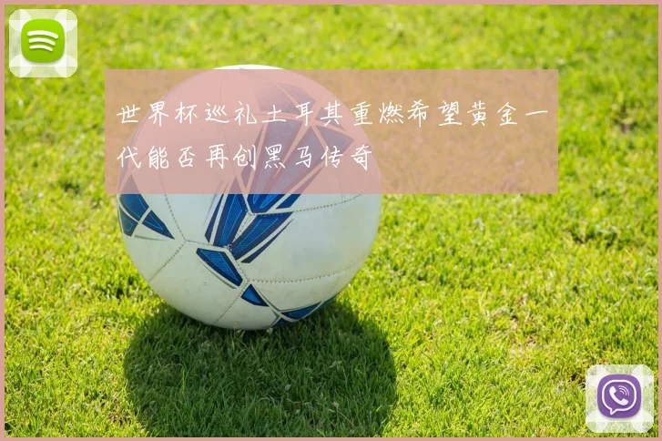 世界杯巡礼土耳其重燃希望黄金一代能否再创黑马传奇