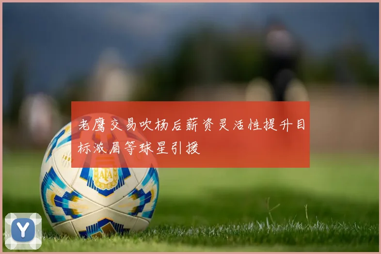 老鹰交易吹杨后薪资灵活性提升目标浓眉等球星引援
